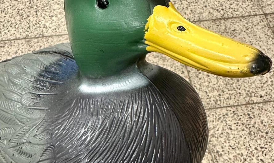 Výřad kachen – závěrečný oheň bruslařské sezóny 2025-2026